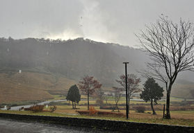 11/10 奥大山の紅葉