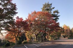 紅葉狩りにおすすめ!卯辰山公園