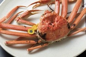 かにの王様!「越前がに」🦀