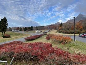 11/11鏡ヶ成「紅葉情報」