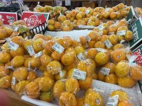 新鮮な農産物を買うならここ!『周ちゃん広場』