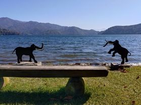 晩秋の野尻湖散歩