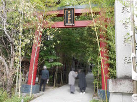パワースポット来宮神社