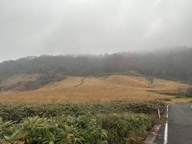 11/14 鏡ヶ成「紅葉情報」