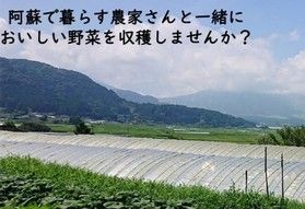 南阿蘇ビジターセンター便り