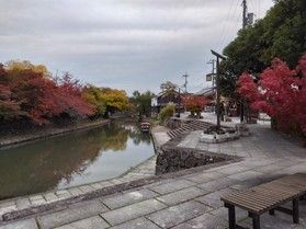 11/15 11/16 レストラン昼食営業休止について