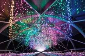 とっとり花回廊でフラワーイルミネーションが開催!