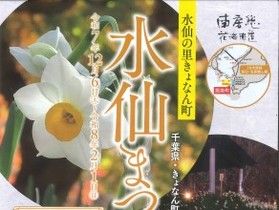 水仙の里きょなん町『水仙まつり』