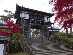 千秋公園、開放!!