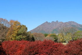 休暇村園地の紅葉状況🍂
