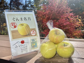 りんごの販売はじめました🍏