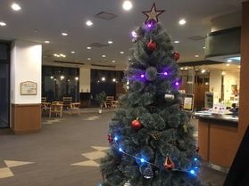 ロビーにクリスマスツリーを飾りました🎄