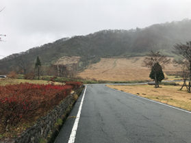 【緊急】周辺道路通行止め情報