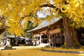 【ひるぜん紅葉情報】福田神社の紅葉状況