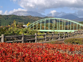 大山を望むおすすめビュースポット~南大山観峰展望駐車場~