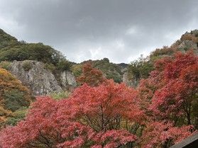 バス旅　紅葉の小豆島ツアーに行ってきた