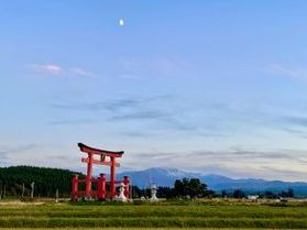 休館日のお知らせ