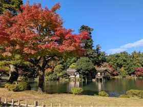 日本三名園のひとつ『兼六園』