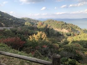 紅葉色づき始めました!