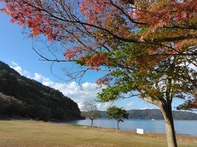 11/22~11/24 レストラン昼食営業について