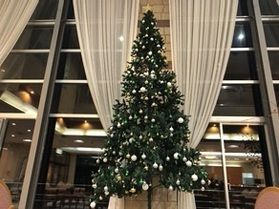 クリスマスツリーがやってきました!