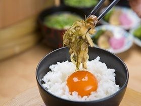比内地鶏卵かけご飯にいぶりがっこ松前漬け朝のおすすめ♪♪♪