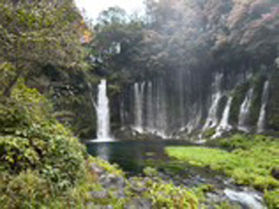 紅葉に包まれる癒しの絶景スポット【白糸の滝】