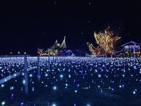 倉ケ崎SL花畑のイルミネーション