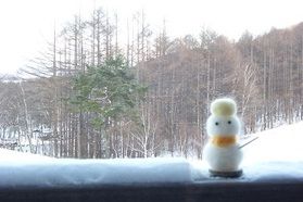 本日より休館日。