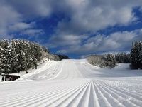 羽黒山スキー場<br>2025-2026シーズン券販売中♪