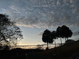 12月オフピークの空き状況