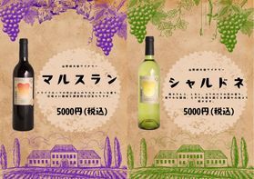 ワイン好き必見！山野峡ワインの赤と白
