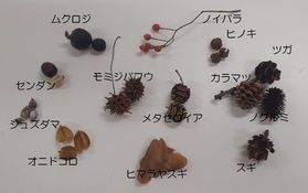 ～南阿蘇ビジターセンター便り～