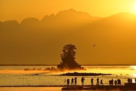 初冬の風物詩　雨晴海岸の絶景