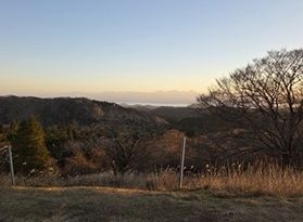 見れたらラッキーな光景かも?
