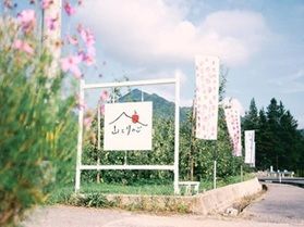 売店に新しいりんごが‼