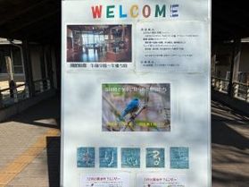 五色台ビジターセンターにて野鳥の写真展開催中!!