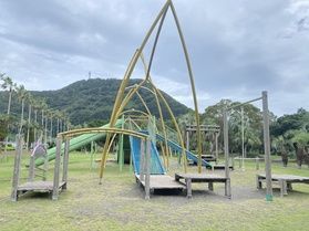 オーストラリアの森