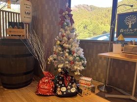 レストランがクリスマス仕様になってます🎄