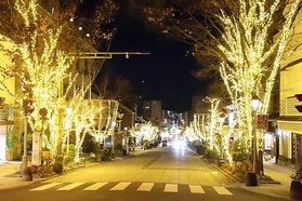 イルミネーションに行かなければ！