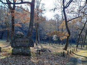 南阿蘇ビジターセンター便り