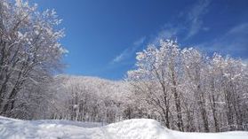 「オフ」に旅してお得に♪