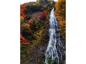 【日本の滝100選vol.14】天滝に行ってきました！