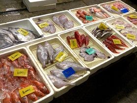 愛知県の魚市場は一色や豊橋だけじゃない「西浦鮮魚マーケット」