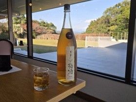 今日から販売開始!「純米酒黒牛仕立て梅酒 」