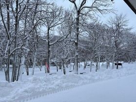 スノーシューレンタル始めました❄