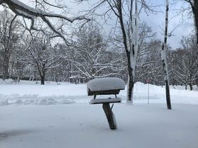 一面まっしろ!⛄❄
