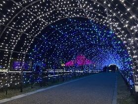 一年中見られる「ゆりの里公園」のイルミネーション✨