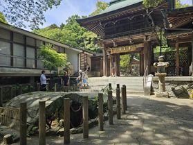 初詣は志賀海神社へGO!