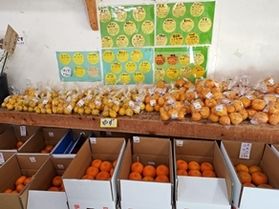 地元産の美味し～いミカンは産直で！！